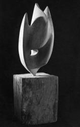 Oiseau tue maxime descombin